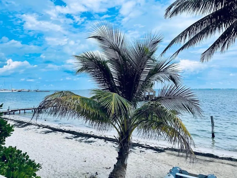 Punta Me Apartments With Nice Sea View & Beach Cancún